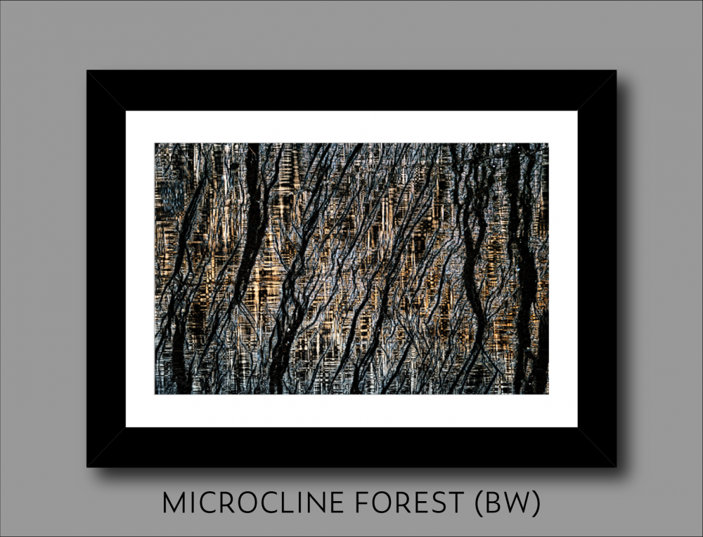 3 Microcline Forest BW